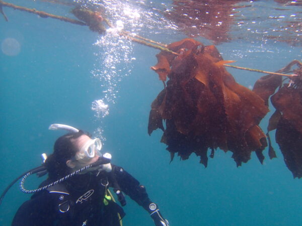 2026/4/17 福浦へ昆布を刈りに行こう！